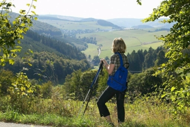 Array, Quelle: Sonnenhof-Willingen