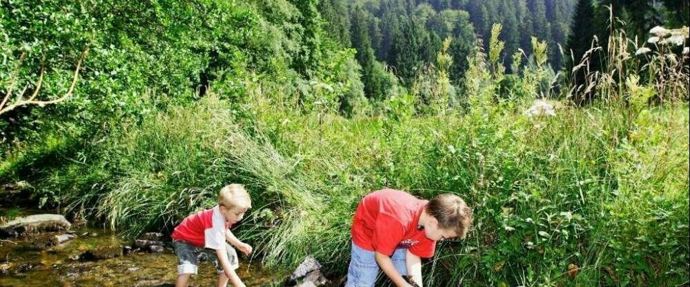 Sonnenhof-Willingen - Umgebung
