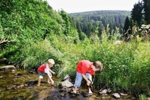 Sonnenhof-Willingen - Umgebung