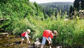 Sonnenhof-Willingen - Umgebung