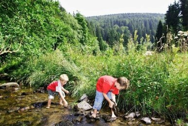 Array, Quelle: Sonnenhof-Willingen