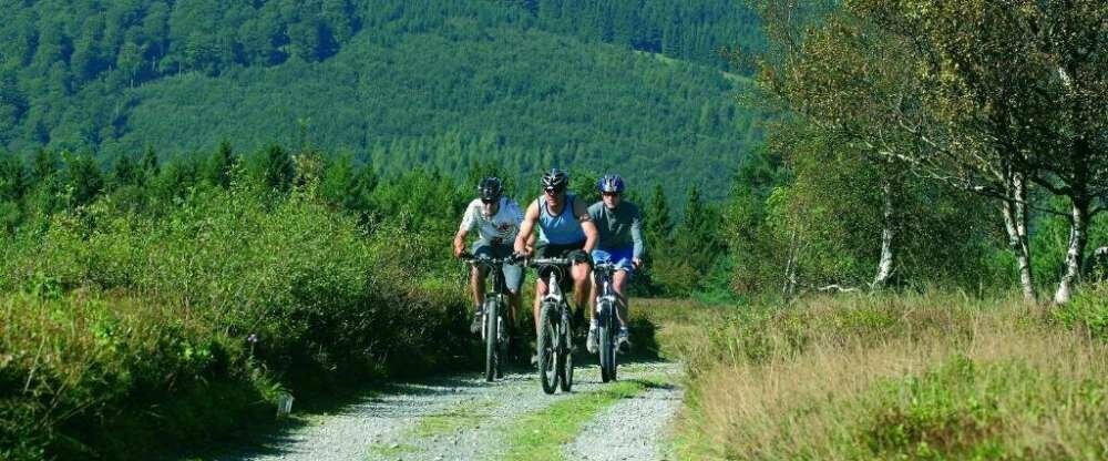 Sonnenhof-Willingen - Umgebung