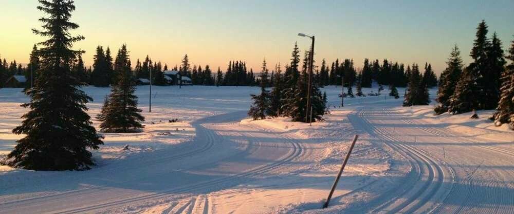 Sonnenhof-Willingen - Umgebung