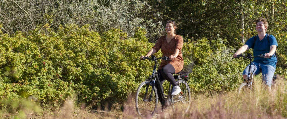 Hotel Hüttmann - Umgebung