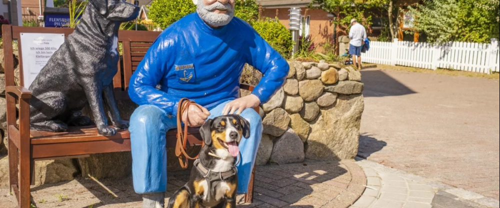 Hotel Hüttmann - Umgebung