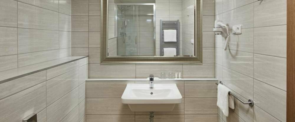 Spa Hotel Děvín *** Superior - Badezimmer