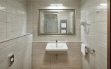 Spa Hotel Děvín *** Superior - Badezimmer