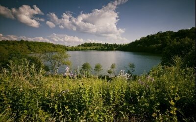 Weinfelder Maar - Natur