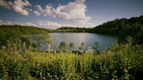 Weinfelder Maar - Natur