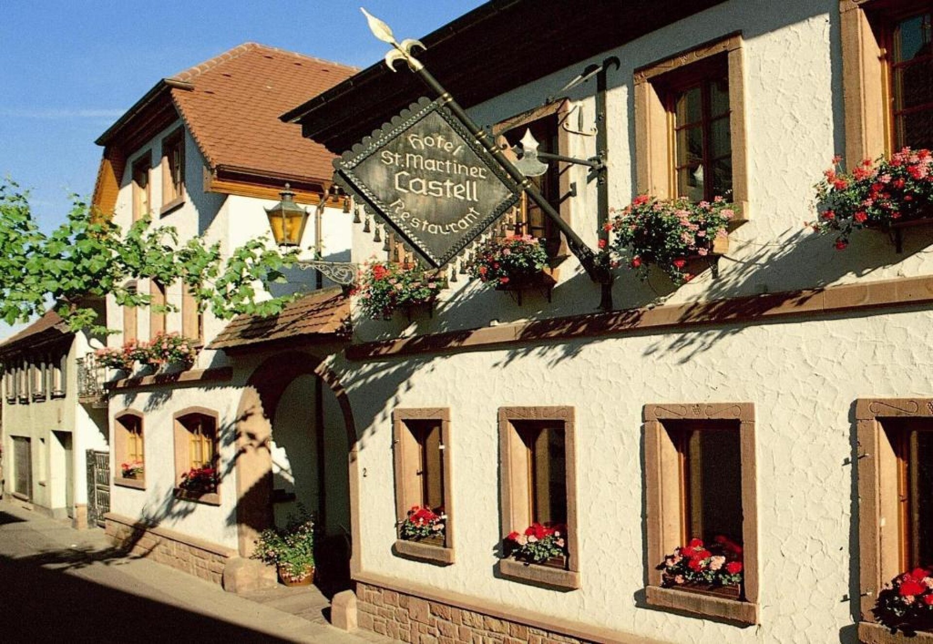 Entdeckerwoche in der Pfalz- Wein genießen und Natur erleben