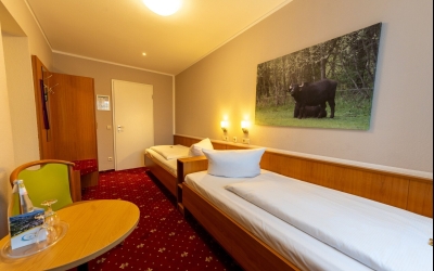 Unsere Standardzimmer bieten auf ca. 13m² bis 26m²eine gemütliche und ruhige Atmosphäre für bis zu zwei Personen. Die Zimmer sind wahlweise mit einem komfortablen Doppelbett (180 × 200 cm) oder getrennten Einzelbetten (Twin) ausgestattet und eignen sich i