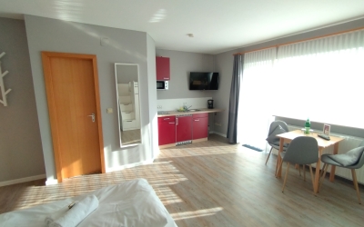 Studio mit Dusche/WC, Kabel-Flat TV, Pantry-Küche, Sitzgelegenheit und Balkon zur Landseite. Bei Belegung mit max. 1 Kind bis 12 Jahre teilweise Hochbett.