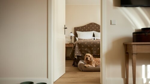 geräumiges Appartement mit getrennten Wohn- & Schlafbereich im Kutscherhaus