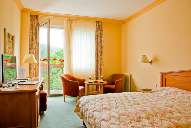 Superior Doppelzimmer zur EInzelnutzung, Quelle: Ensana Health Spa Hotel Butterfly