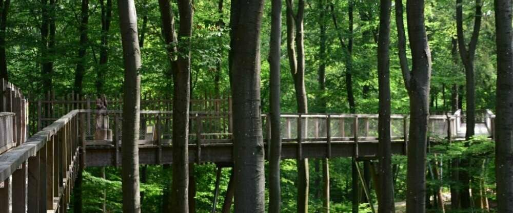 Sweet Poison Rooms - Umgebung