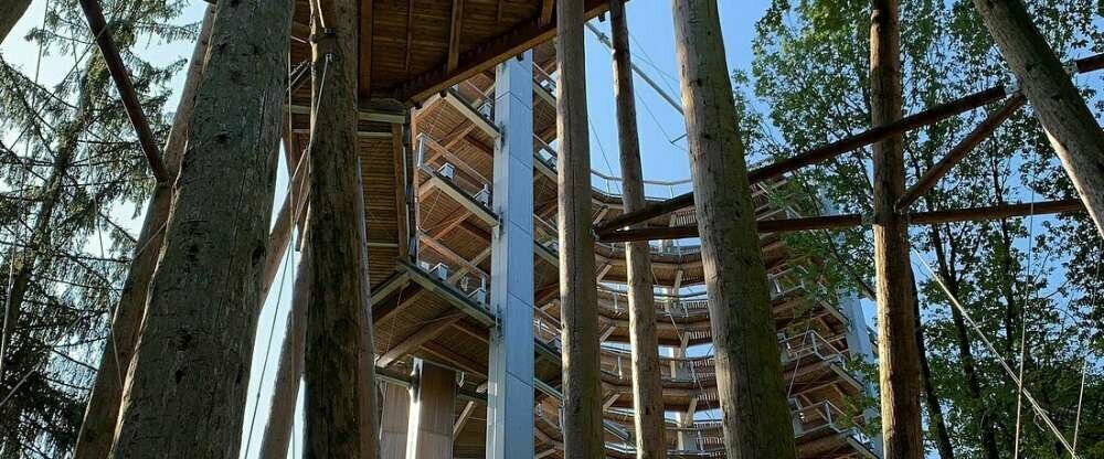 Sweet Poison Rooms - Umgebung