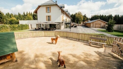 Tannenhaus Hotel · Restaurant - Terrasse/Außenbereich