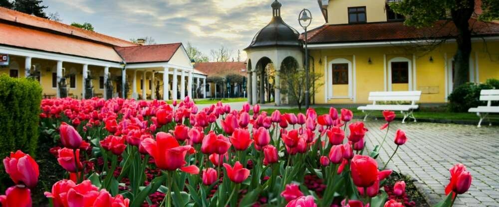 Thermia Palace ***** - Umgebung