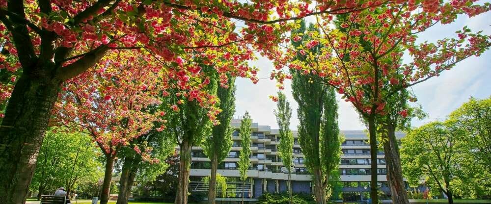 Thermia Palace ***** - Umgebung