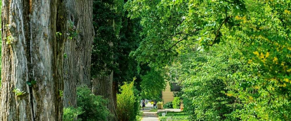 Thermia Palace ***** - Umgebung