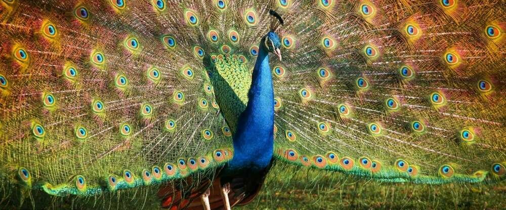 Thermia Palace ***** - Umgebung