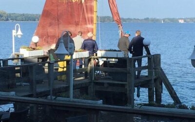 Das Fährhaus betreibt zwei historische Boote. "Moin Moin I" und "Moin Moin II".
Die zwei Kähne sind zusammen über 120 Jahre alt. Platz bietet ein Boot für 18 Personen. Ein einmaliges Segelerlebnis auf dem Zwischenahner Meer. 