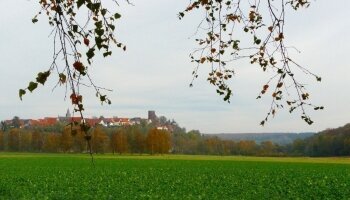 Trendelburg