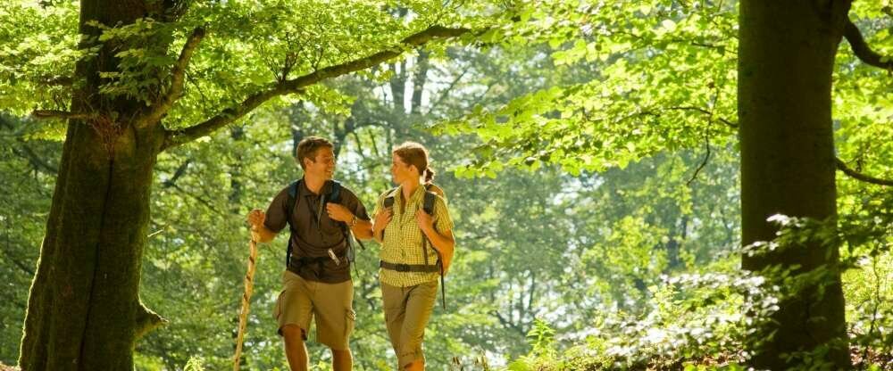 Hervorragend ausgezeichnete Wanderwege in allen Schwierigkeitsgraden.