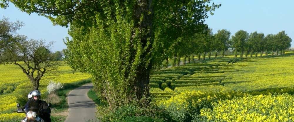 Ihre Motorrad kann in der Hotelgarage untergestellt werden, bitte bei der Reservierung Bescheid geben!
