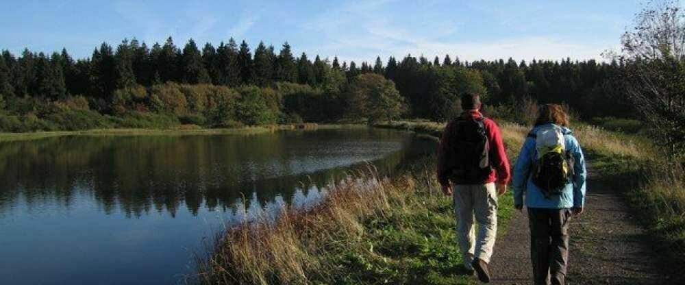 Wanderrouten im Umkreis