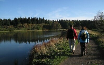 Wanderrouten im Umkreis