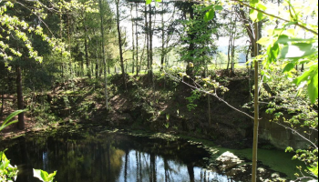 Umgebung