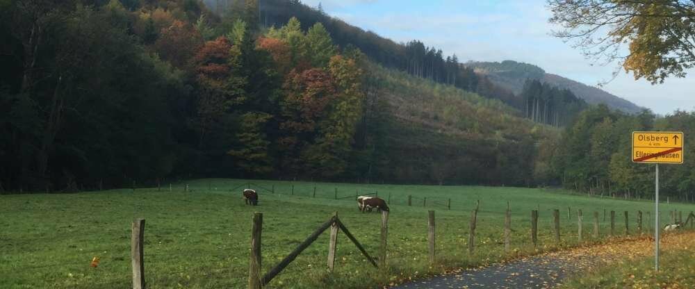 Wandern in Elleringhausen.