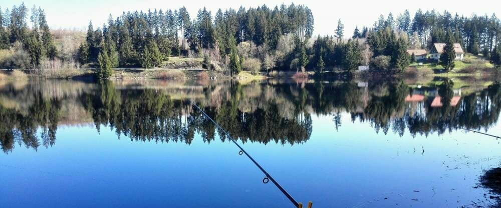 Angeln in der Umgebung