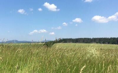 Blick von Benneckenstein Richtung Tanne, rechts Tanne mit Hotel, links der Brocken und der Wurmberg.