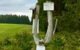 Wandern und Waldbaden direkt in der Umgebung.