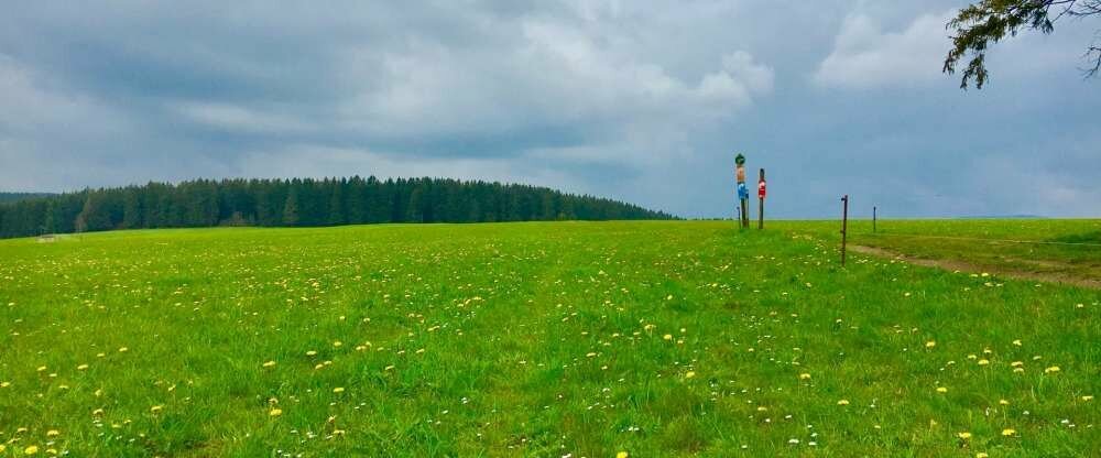 Wandern und Waldbaden direkt in der Umgebung.