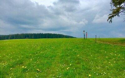 Wandern und Waldbaden direkt in der Umgebung.