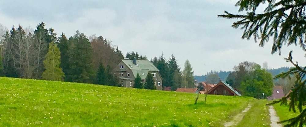 Wandern und Waldbaden direkt in der Umgebung.
