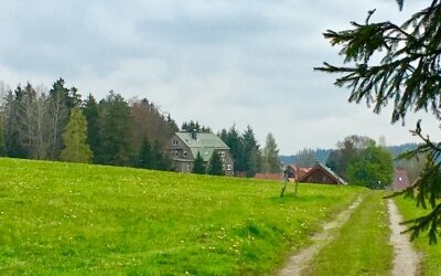 Wandern und Waldbaden direkt in der Umgebung.