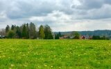 Wandern und Waldbaden direkt in der Umgebung.