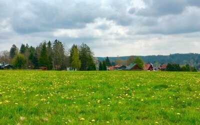 Wandern und Waldbaden direkt in der Umgebung.