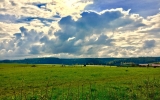 Wandern und Waldbaden direkt in der Umgebung.