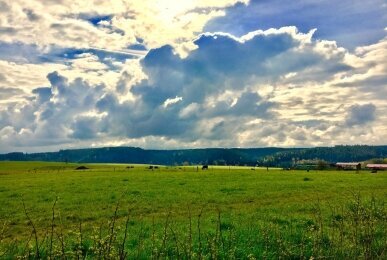 Umgebung, Quelle: waldhotel AUSZEIT