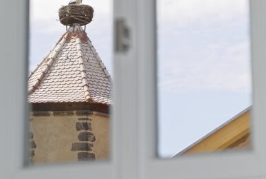 Unser Storch, Quelle: Pörtnerhof 