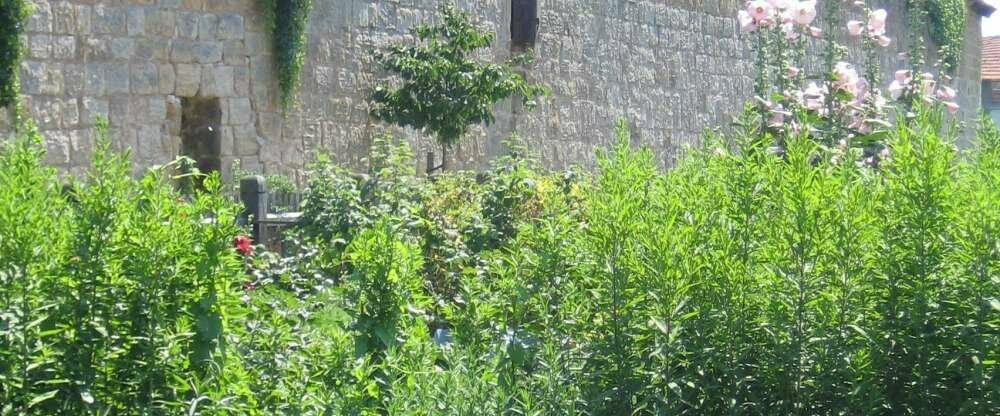 Seßlach hat noch eine komplett erhaltene Stadtmauer, die mitten in freier Natur steht.