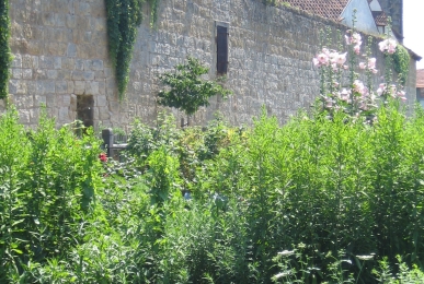 Array, Quelle: Pörtnerhof