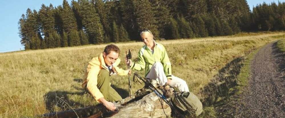 Urlaub im Hochschwarzwald