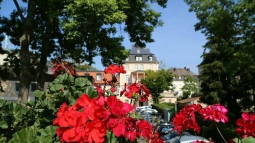 Villa Thea Kurhotel am Rosengarten - Terrasse/Außenbereich