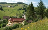 Vitalhotel Grüner Baum - Hotel-Außenansicht